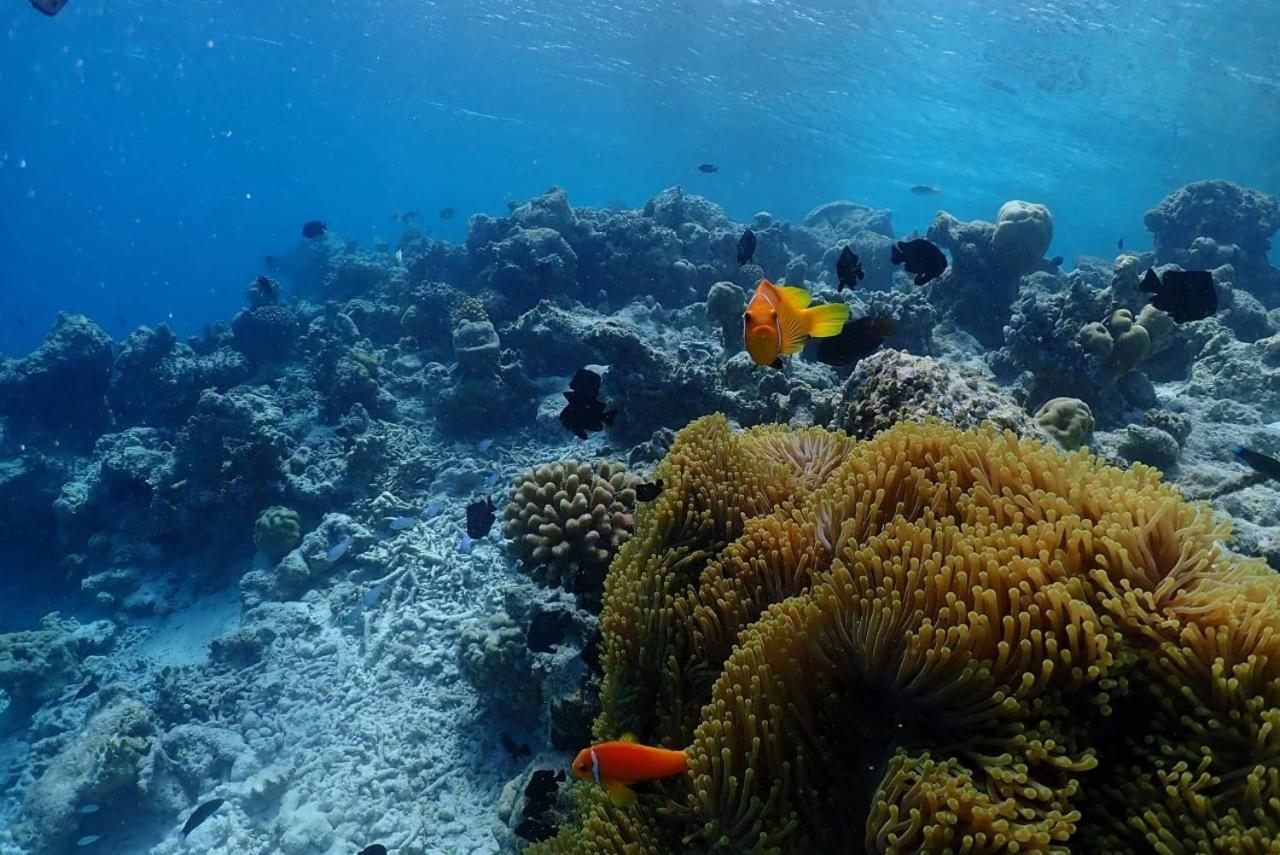 Chambao Maldives Hotell Guraidhoo  Exteriör bild