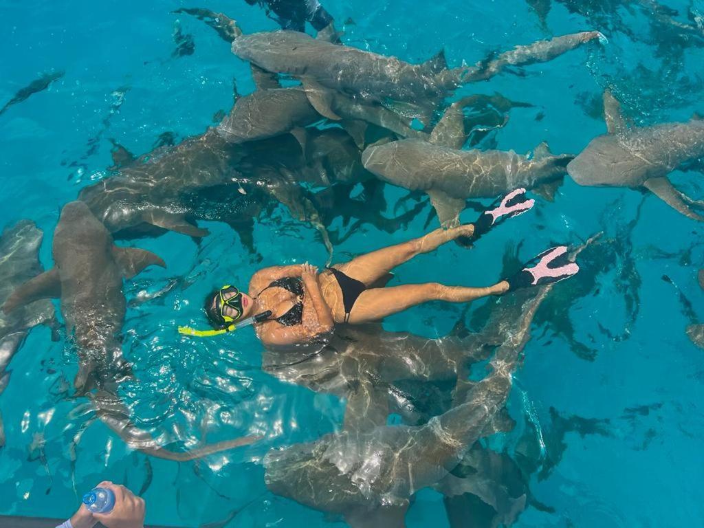 Chambao Maldives Hotell Guraidhoo  Exteriör bild